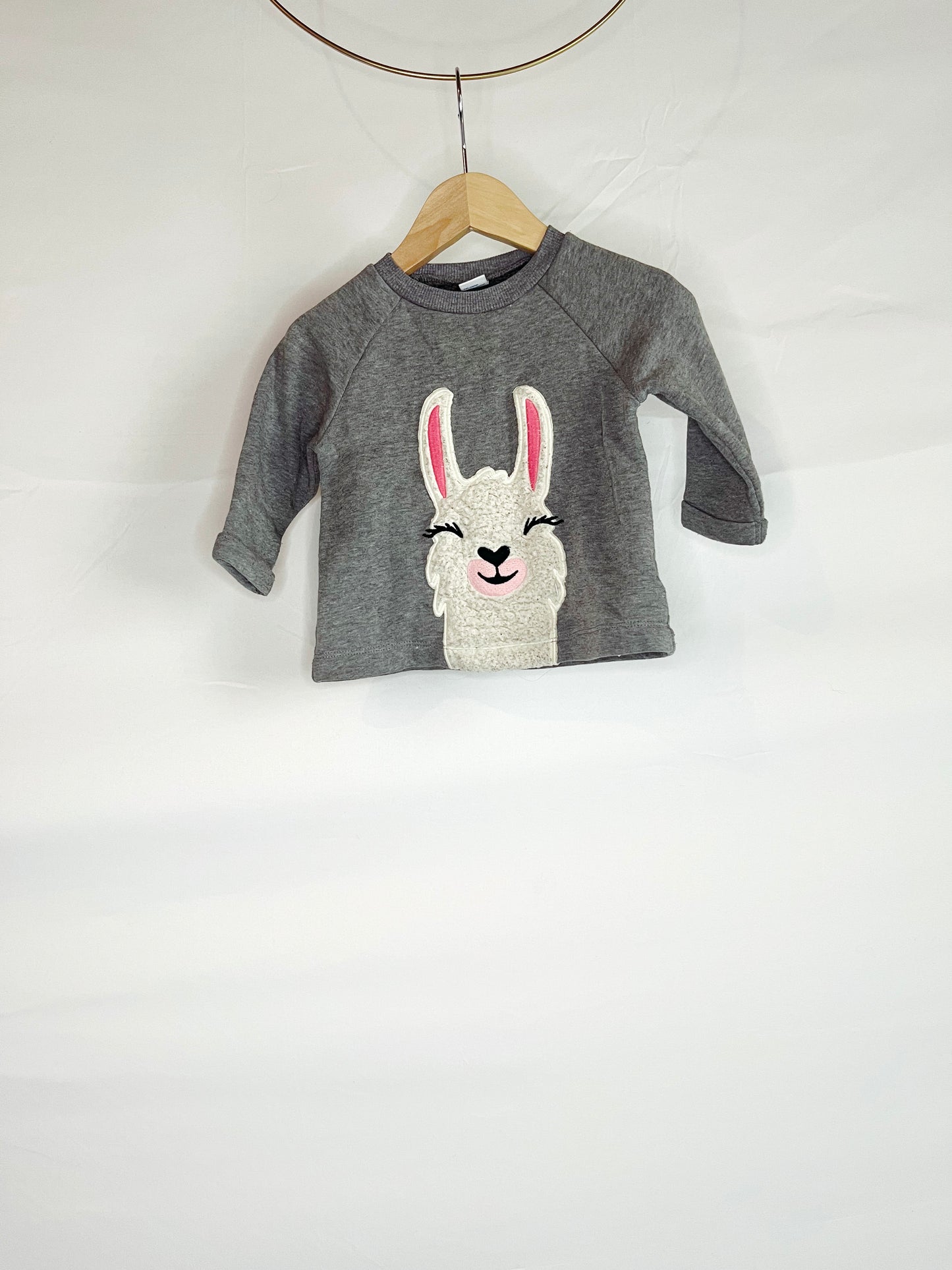 Gray Llama Sweatshirt with Rolled Cuffs