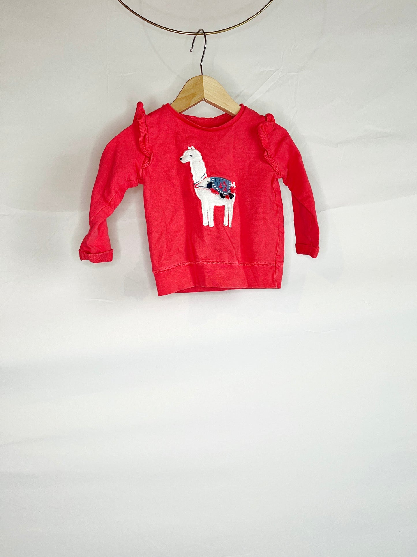 Pink Ruffle Shoulder Llama Sweatshirt